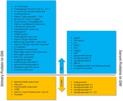 MicroRNA, Proteins, and Metabolites as Novel Biomarkers for Prediabetes, Diabetes, and Related Complications